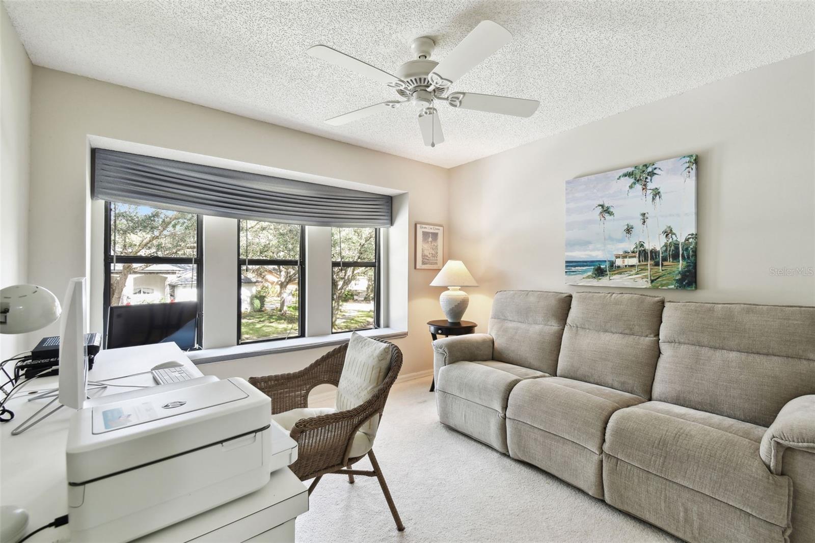 6243 GREENWICH DR, TAMPA, FL, 33647