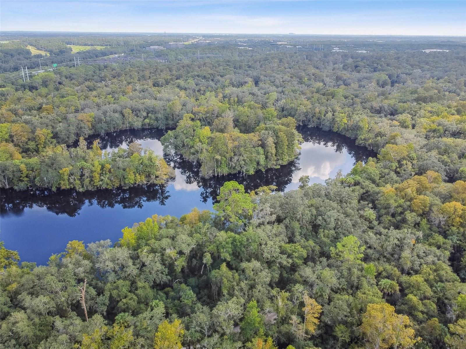 6243 GREENWICH DR, TAMPA, FL, 33647