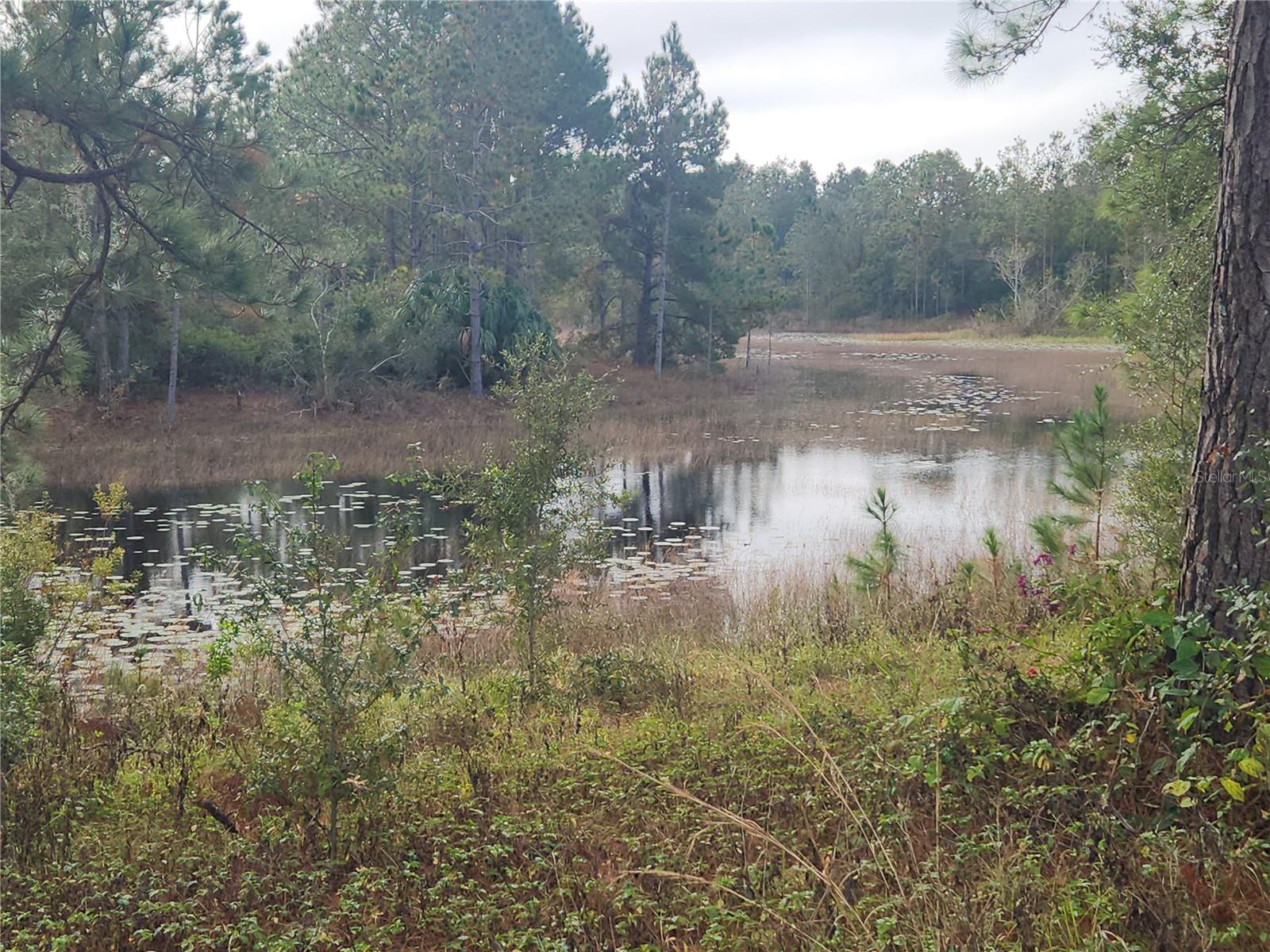 4338 CRESCENT RD, SPRING HILL, FL, 34606