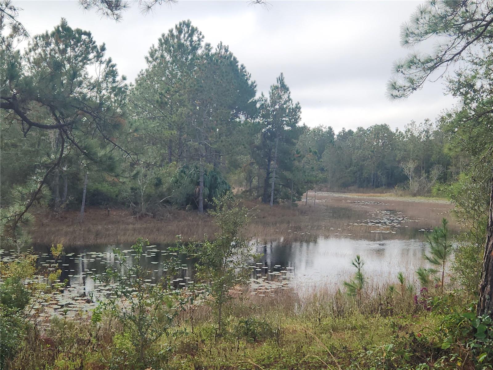 4338 CRESCENT RD, SPRING HILL, FL, 34606