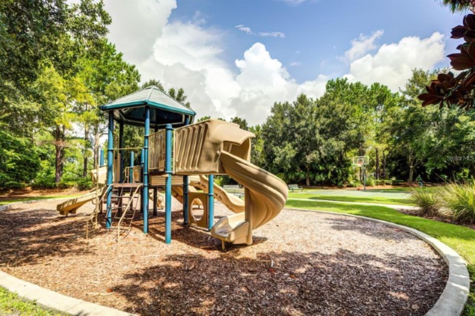 26722 JUNIPER BAY DR, WESLEY CHAPEL, FL, 33544