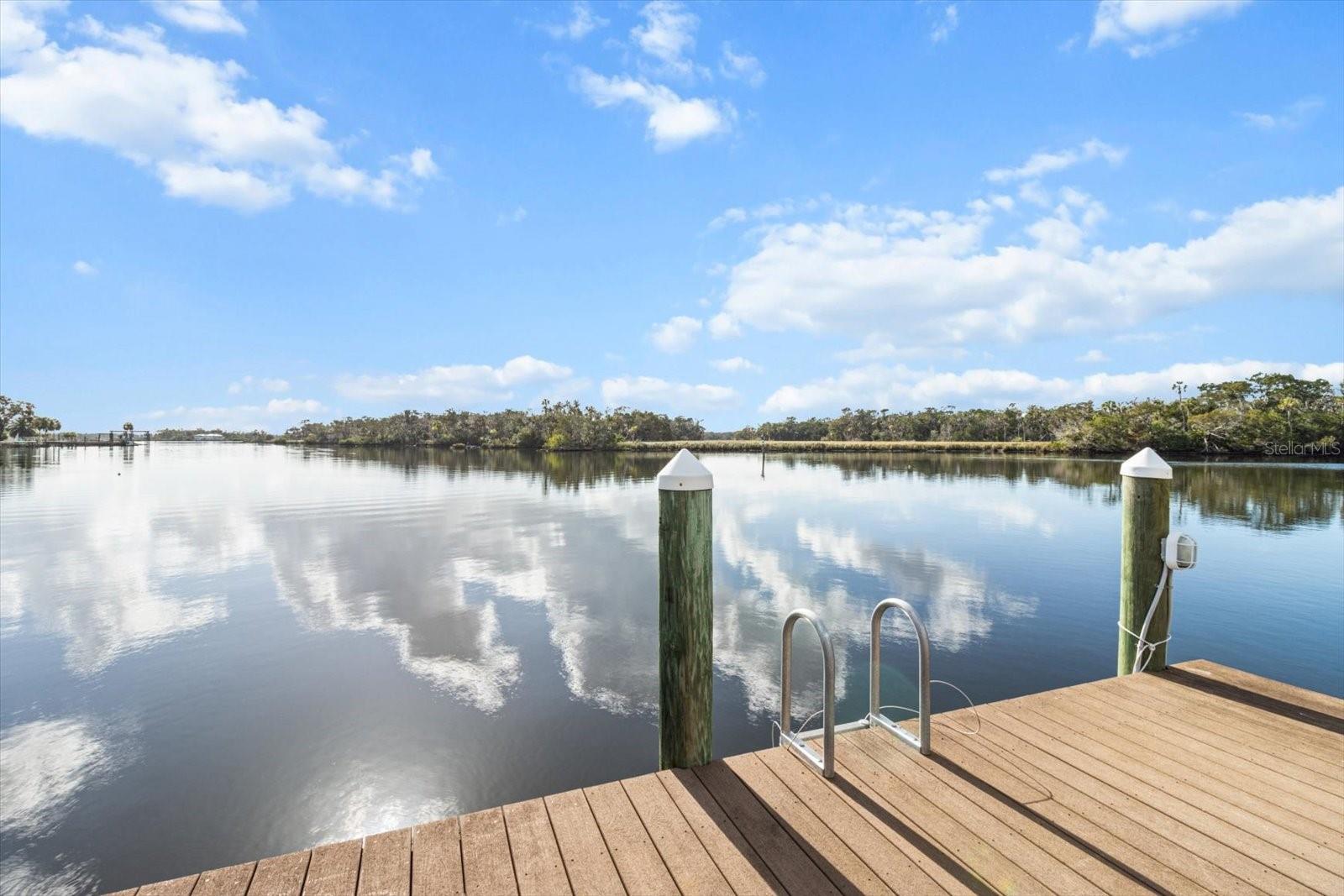 12054 W BROAD JUMP CT, HOMOSASSA, FL, 34448