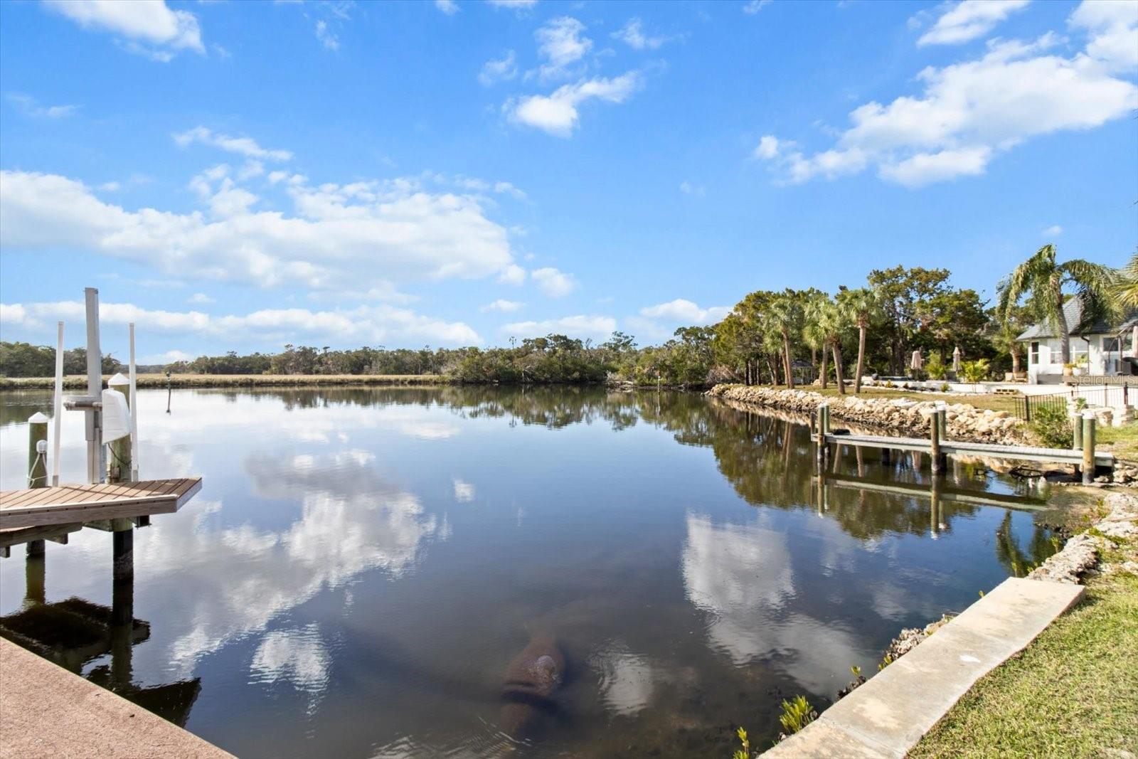 12054 W BROAD JUMP CT, HOMOSASSA, FL, 34448