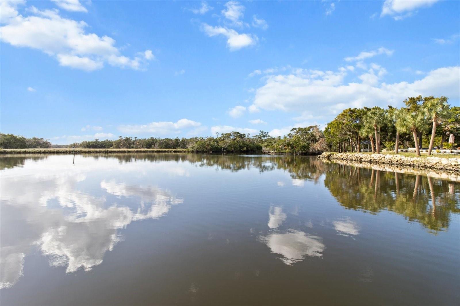 12054 W BROAD JUMP CT, HOMOSASSA, FL, 34448