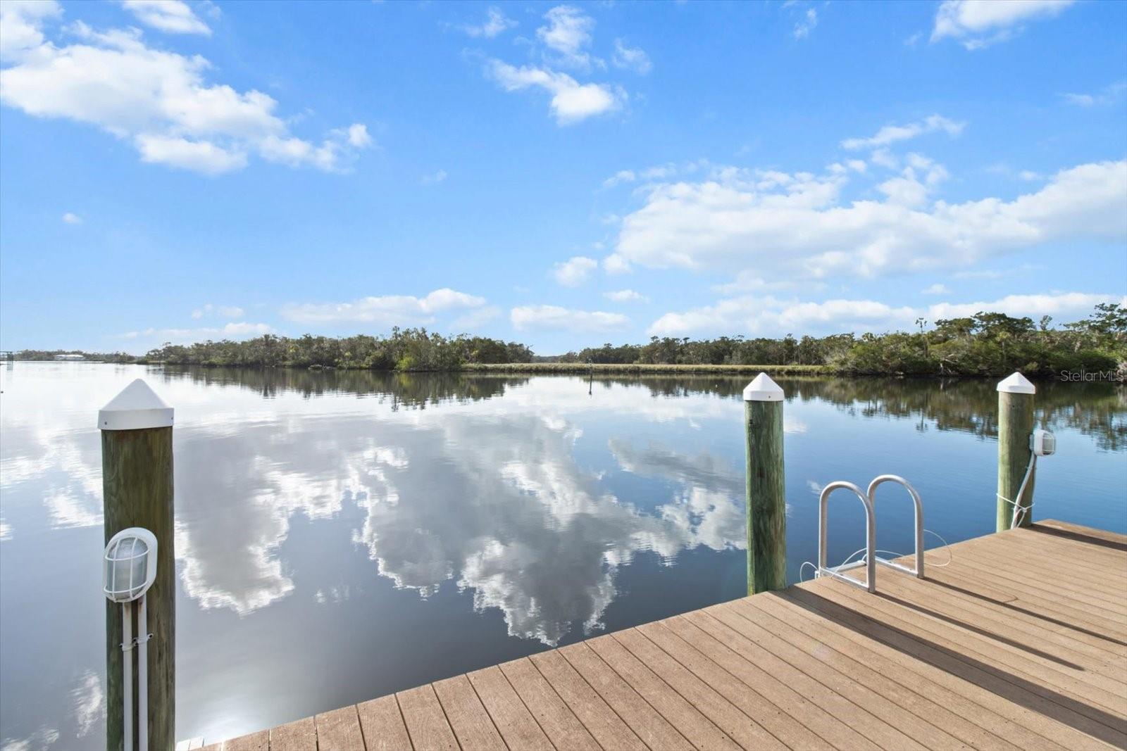 12054 W BROAD JUMP CT, HOMOSASSA, FL, 34448