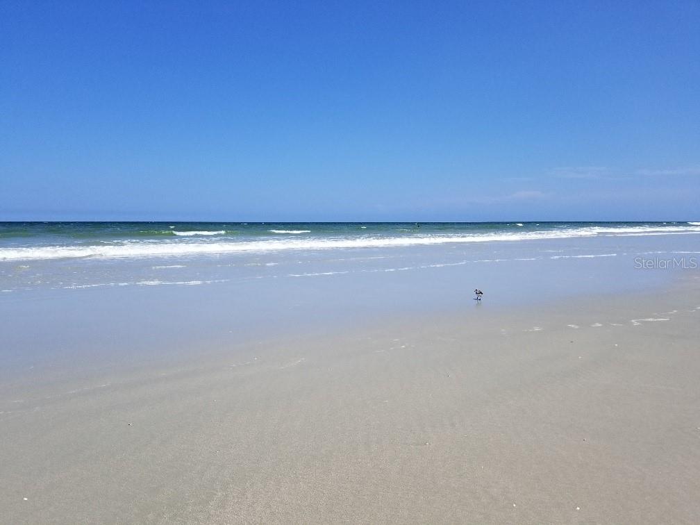 839 FAIRWAY DR, NEW SMYRNA BEACH, FL, 32168