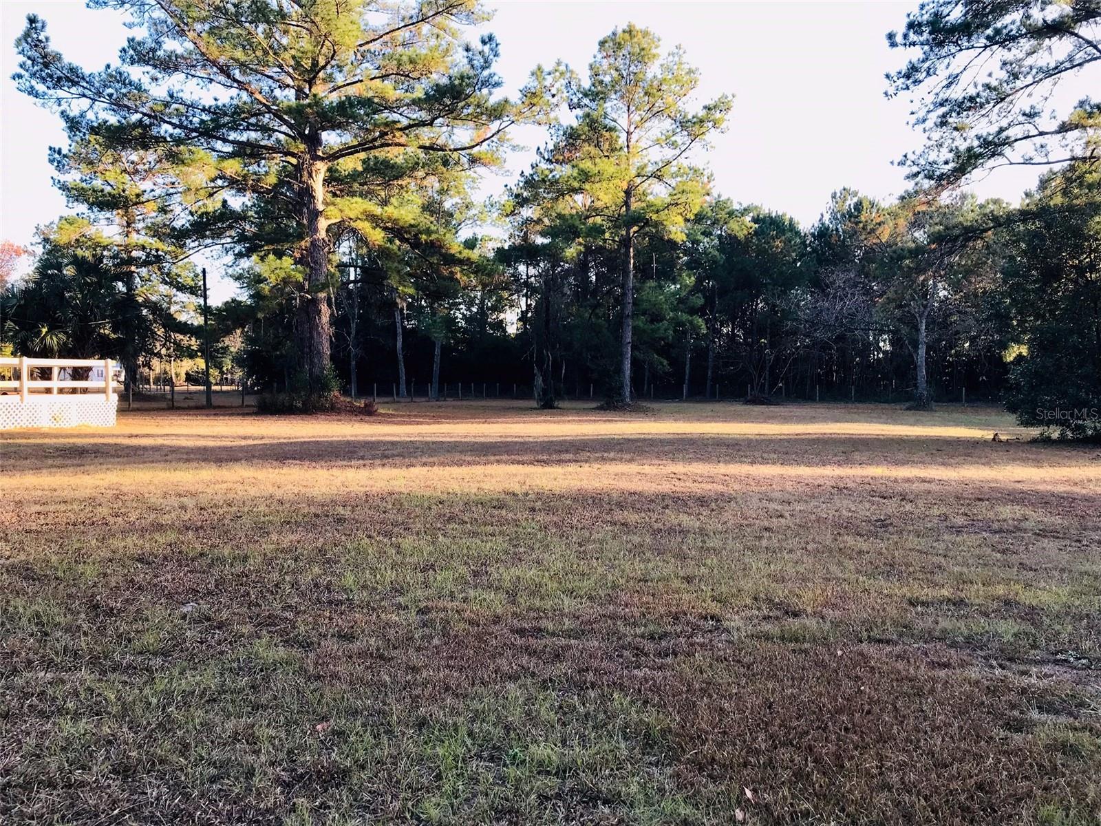 4750 NE 155TH TER, WILLISTON, FL, 32696