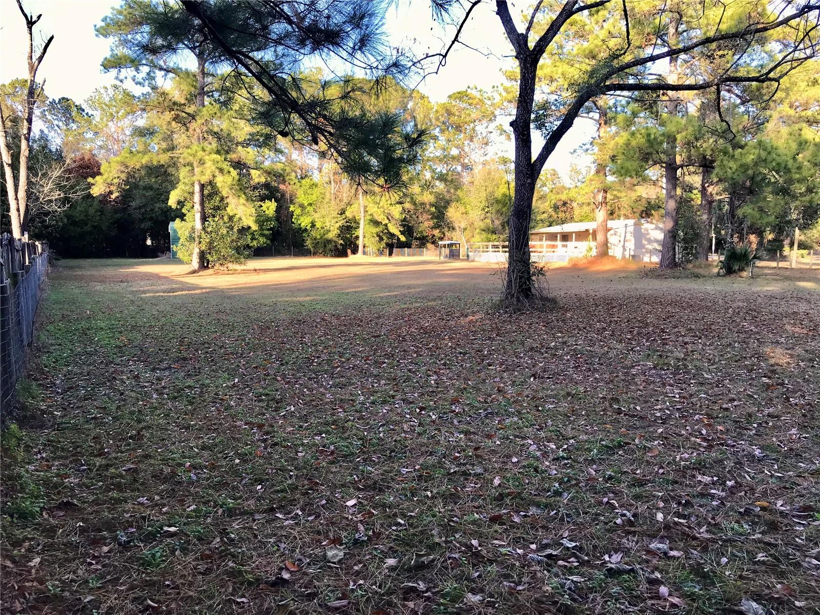 4750 NE 155TH TER, WILLISTON, FL, 32696