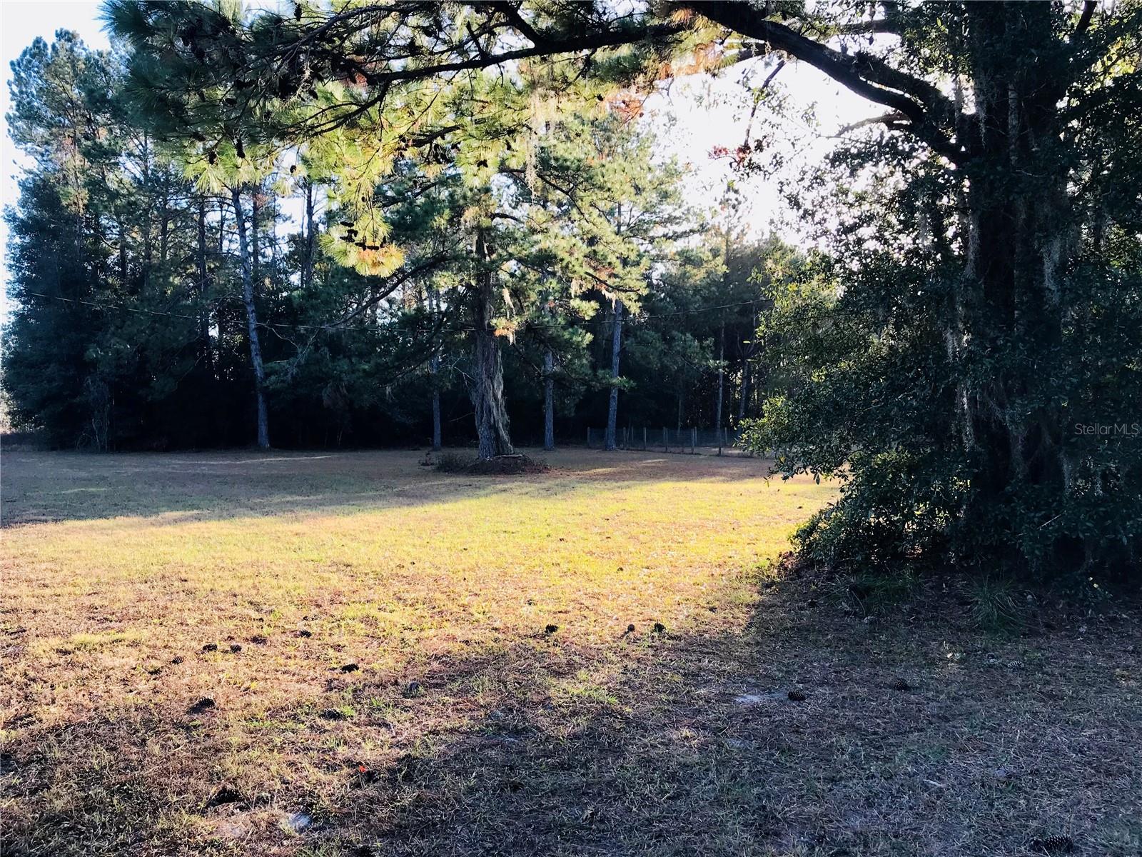 4750 NE 155TH TER, WILLISTON, FL, 32696