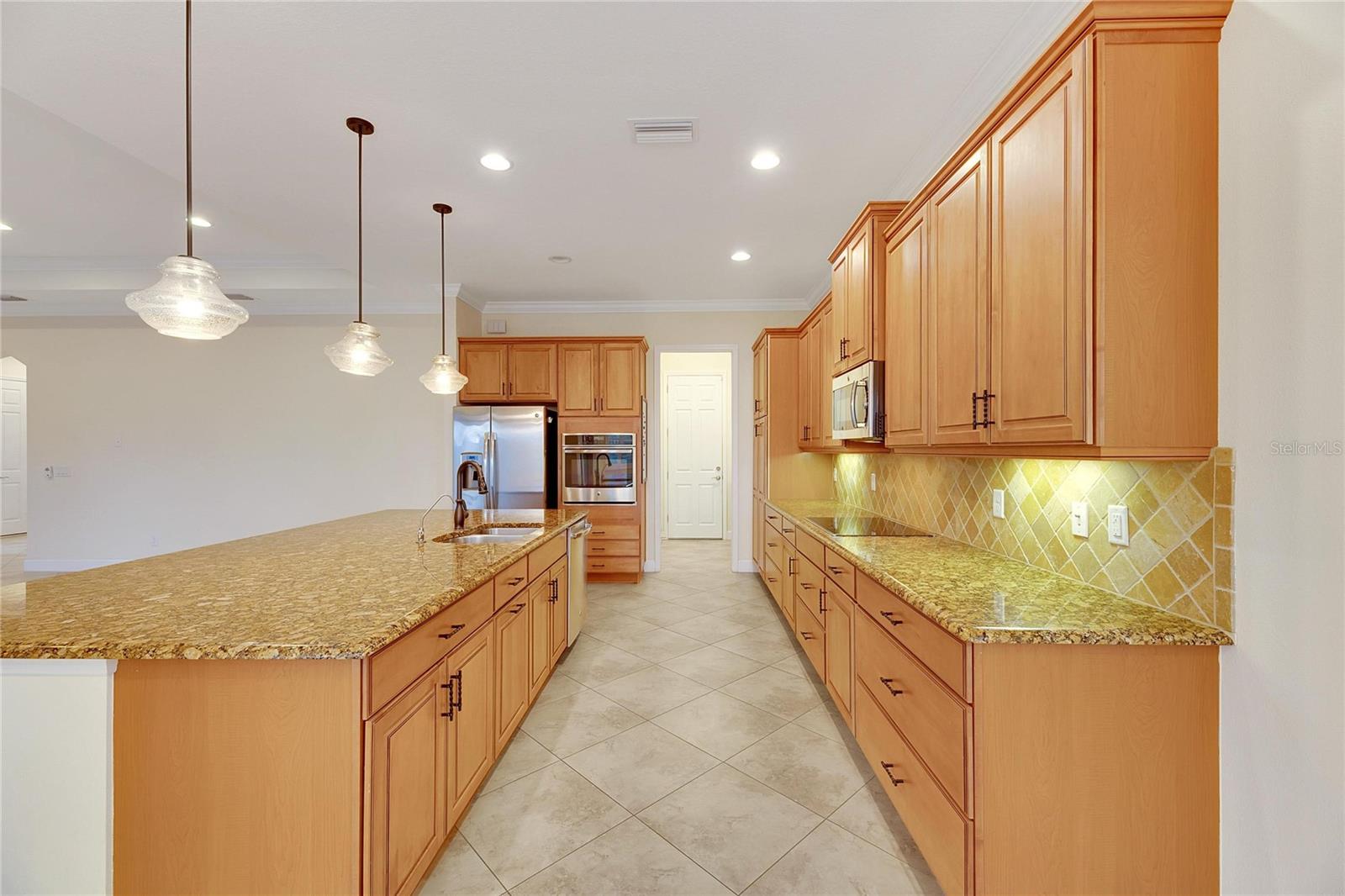 1533 EMERALD DUNES DR, SUN CITY CENTER, FL, 33573