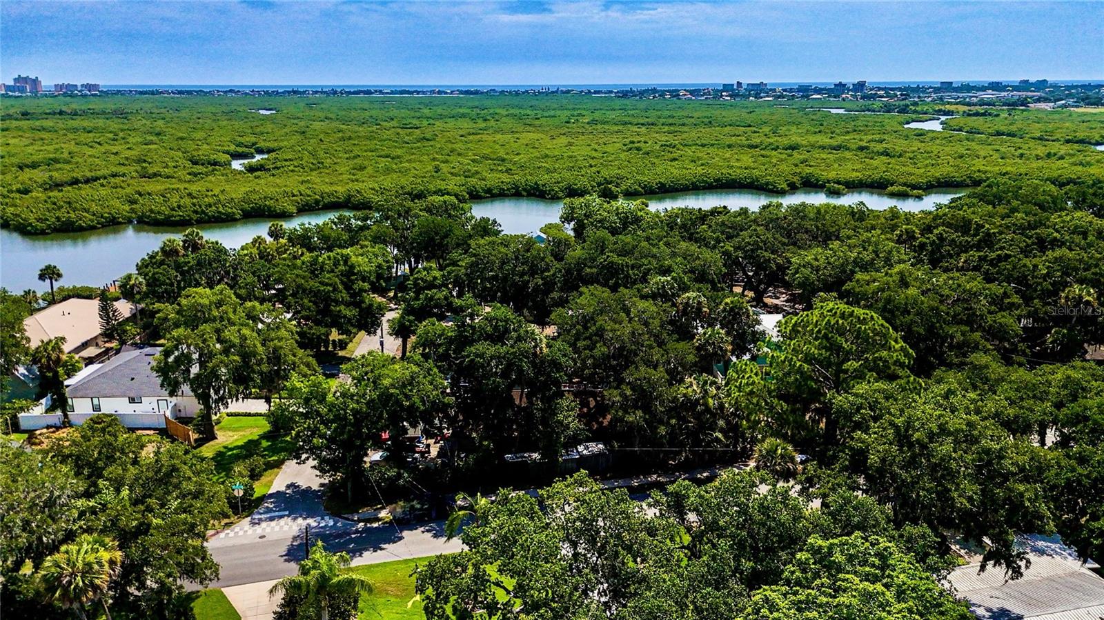 812 FAULKNER ST, NEW SMYRNA BEACH, FL, 32168