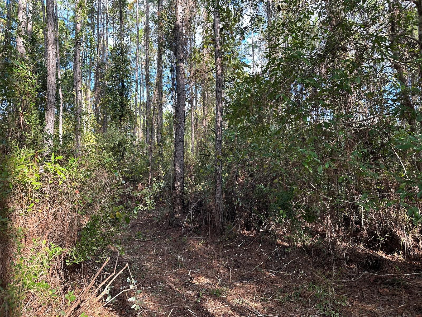 111 CAMP RD, PALATKA, FL, 32177