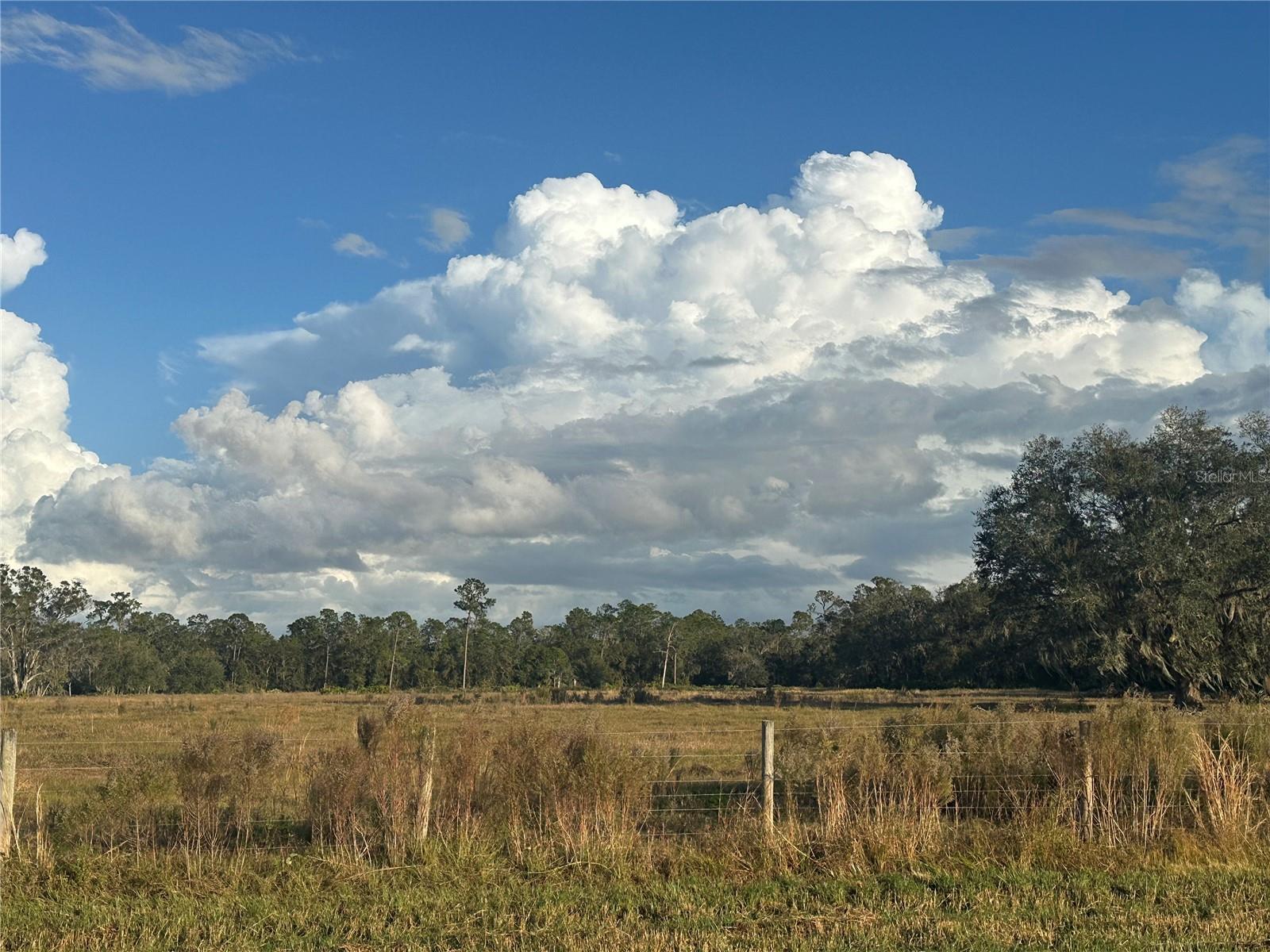 0 POLK RD, WAUCHULA, FL, 33873