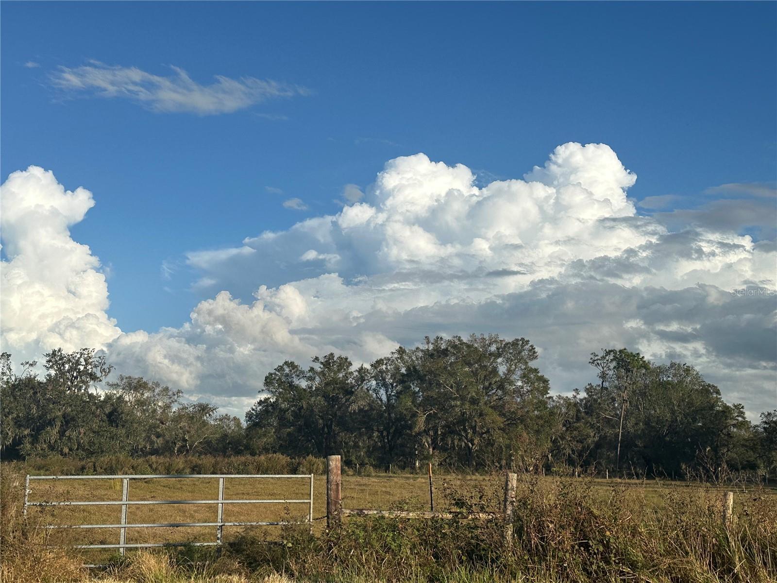 0 POLK RD, WAUCHULA, FL, 33873