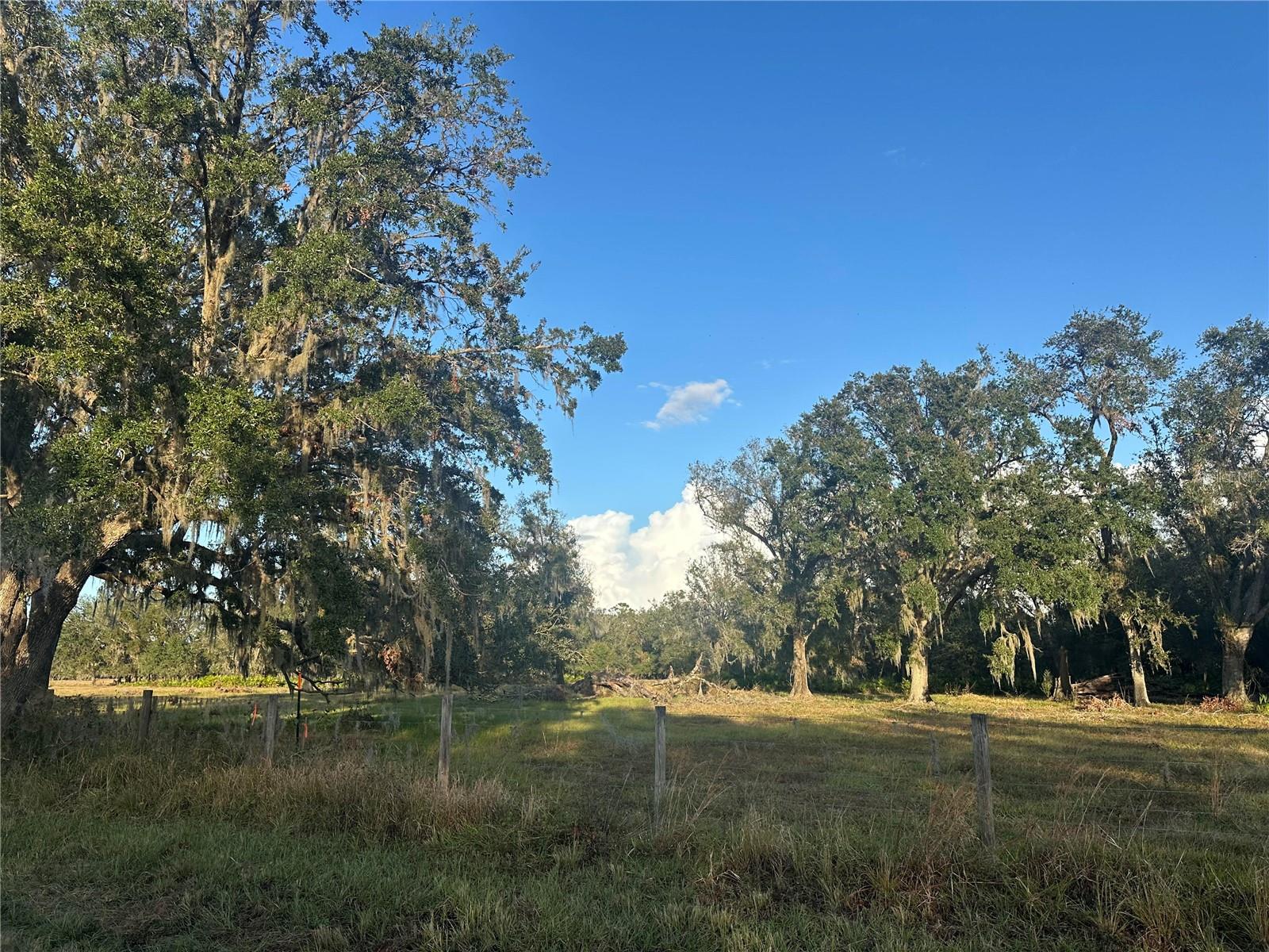 0 POLK RD, WAUCHULA, FL, 33873