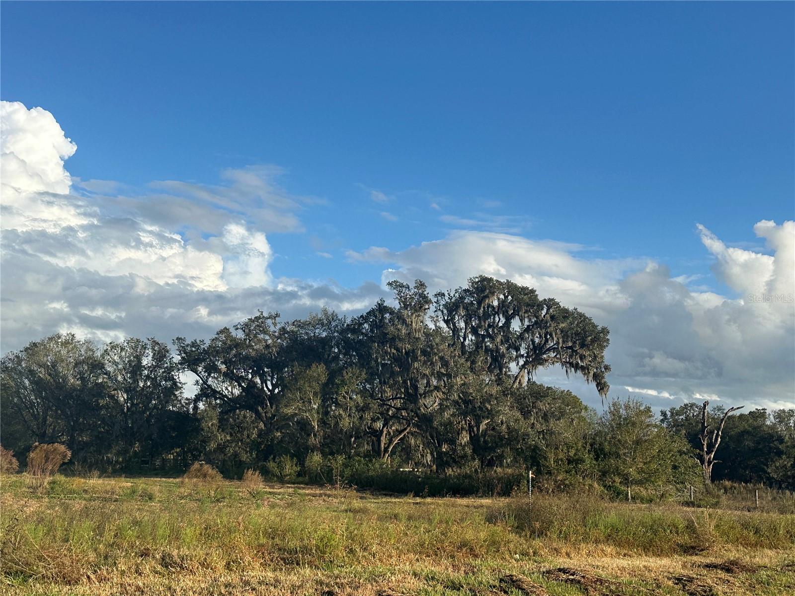 0 POLK RD, WAUCHULA, FL, 33873