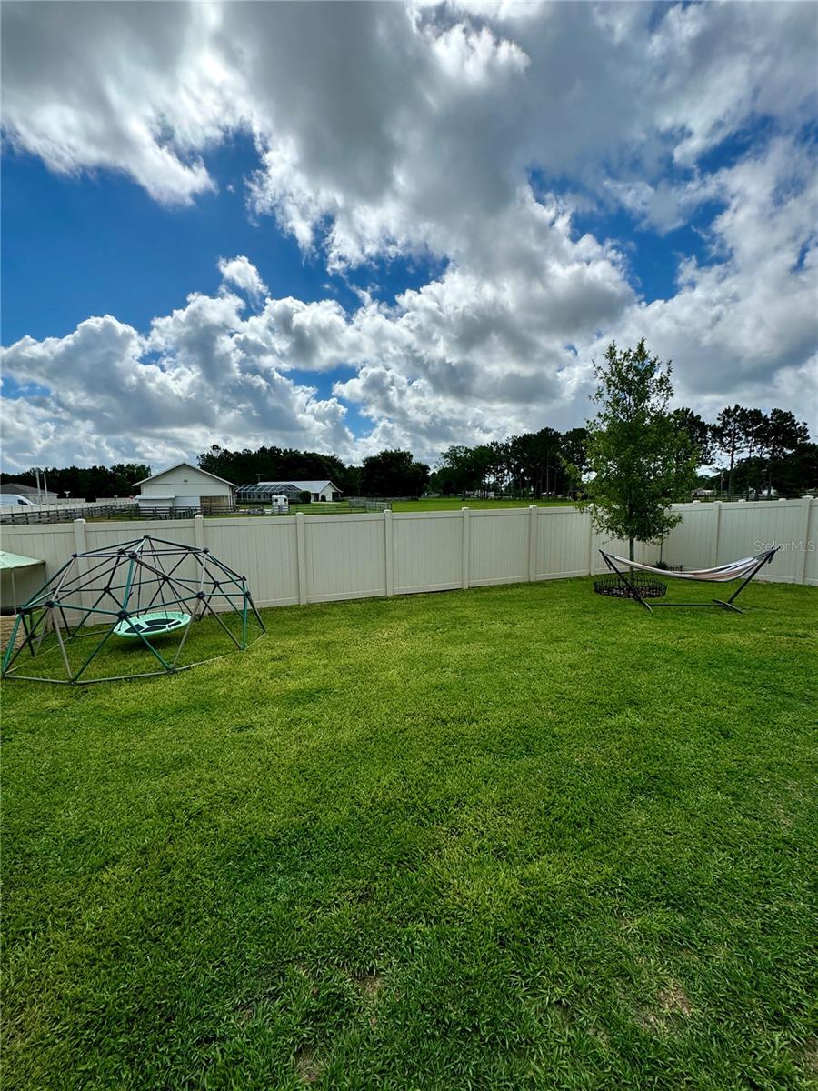 8495 CLEARWAY DR, WILDWOOD, FL, 34785