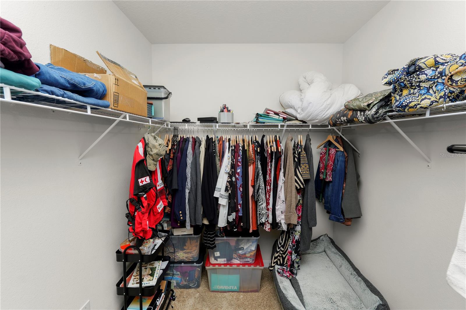 1754 EAGLE HAMMOCK BLVD, EAGLE LAKE, FL, 33839