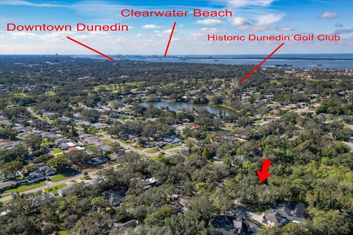 2420 BUTTERNUT CT, DUNEDIN, FL, 34698