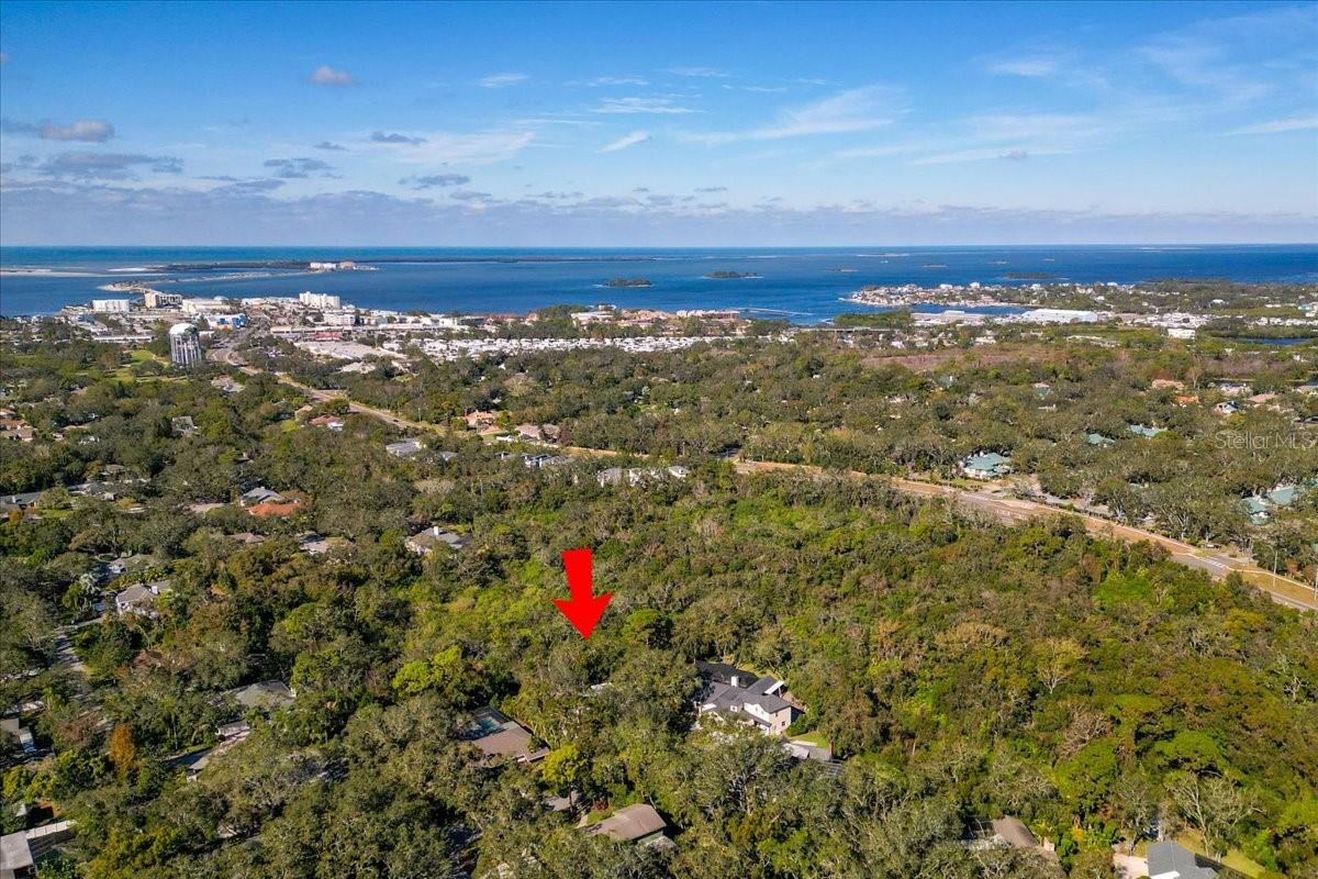 2420 BUTTERNUT CT, DUNEDIN, FL, 34698