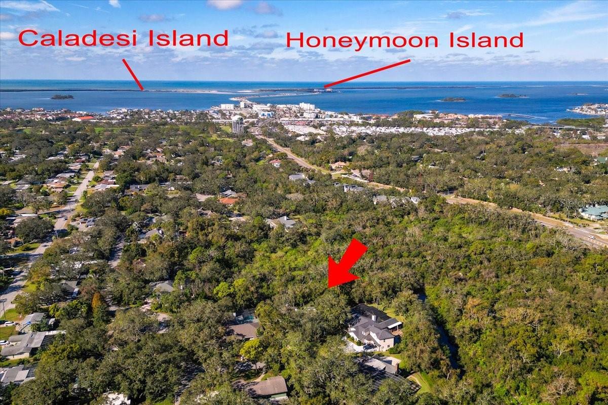 2420 BUTTERNUT CT, DUNEDIN, FL, 34698