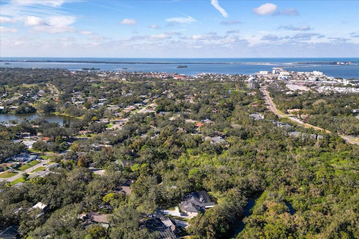 2420 BUTTERNUT CT, DUNEDIN, FL, 34698