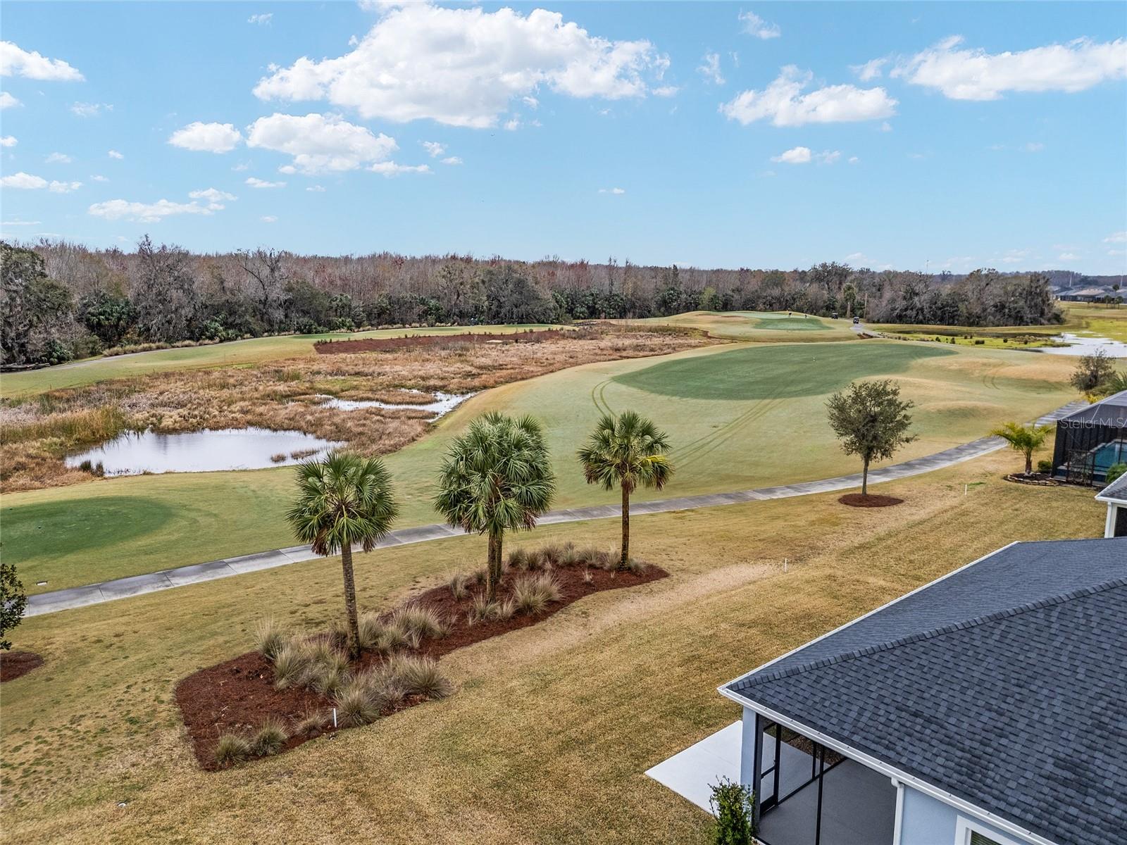 3606 ADAMSVILLE AVE, THE VILLAGES, FL, 32163