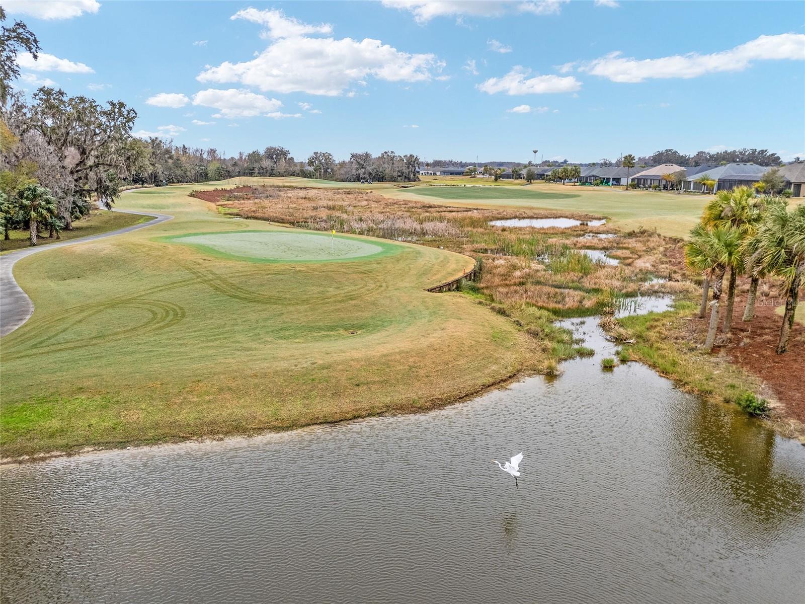 3606 ADAMSVILLE AVE, THE VILLAGES, FL, 32163