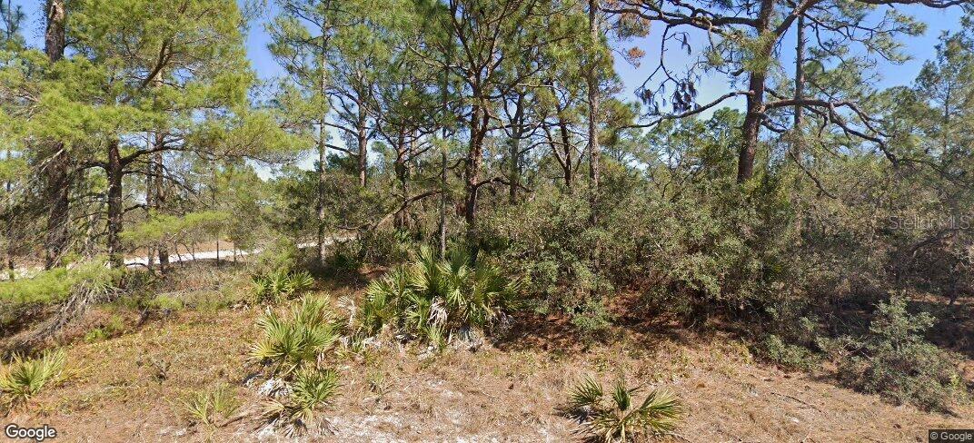 651 JONATHAN ST, LAKE PLACID, FL, 33852