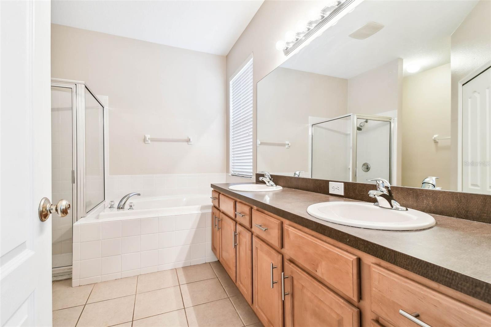 3327 DOWNAN POINT DR, LAND O LAKES, FL, 34638