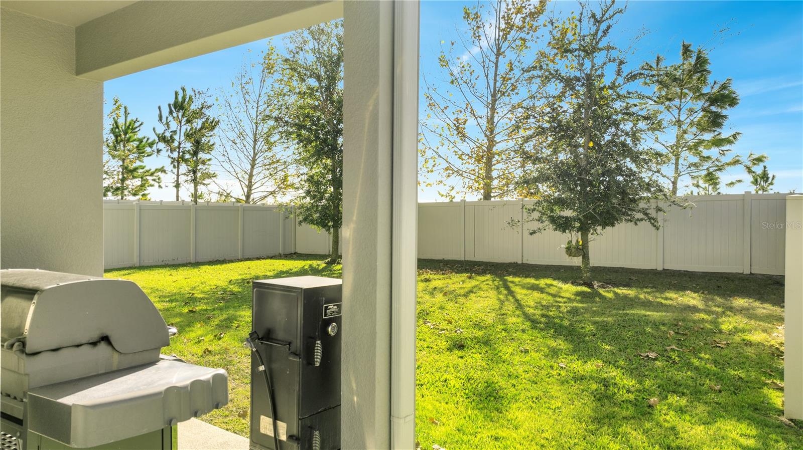 629 BIG PINE AVE, MINNEOLA, FL, 34715
