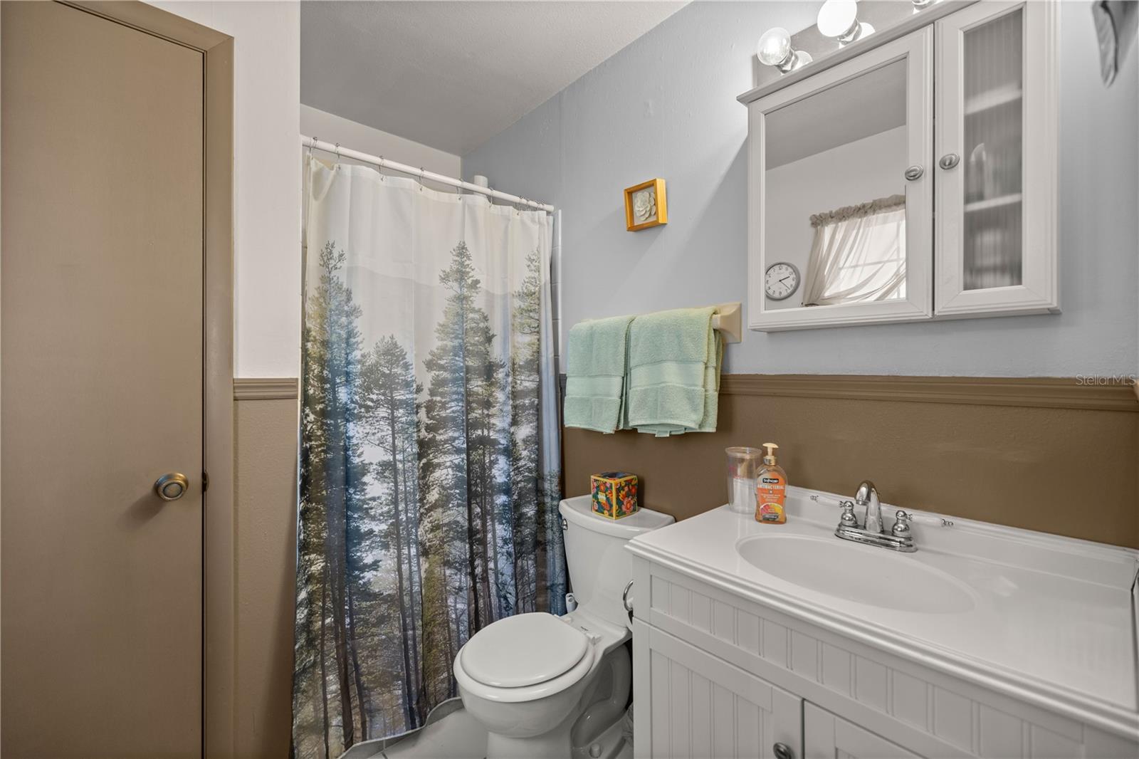 17451 SE 18TH ST, SILVER SPRINGS, FL, 34488