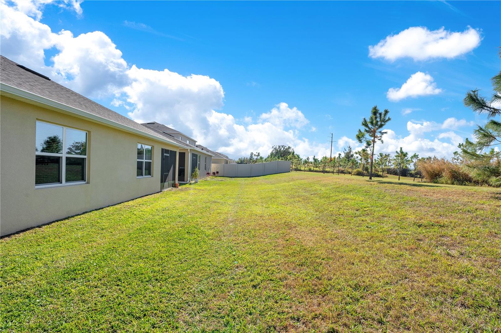 344 AMERICAN HOLLY AVE, DEBARY, FL, 32713