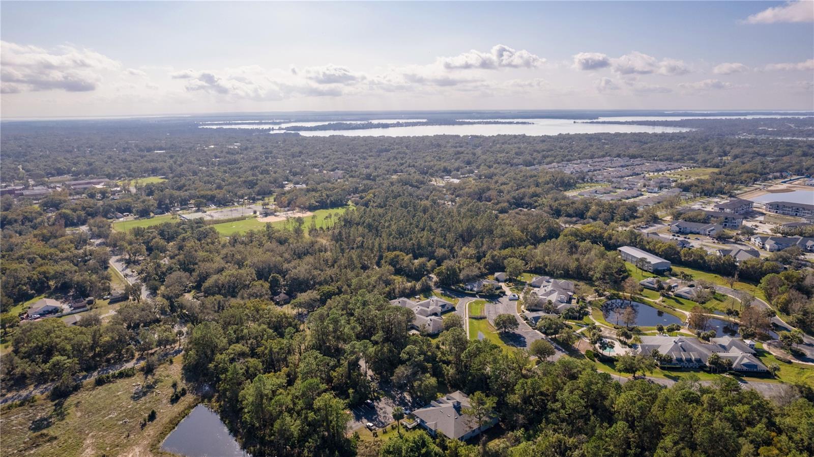 1303 LIMIT AVE, MOUNT DORA, FL, 32757