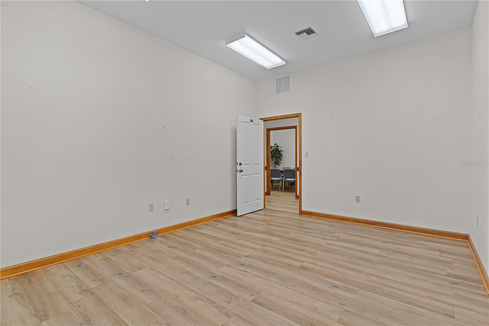 1303 LIMIT AVE, MOUNT DORA, FL, 32757