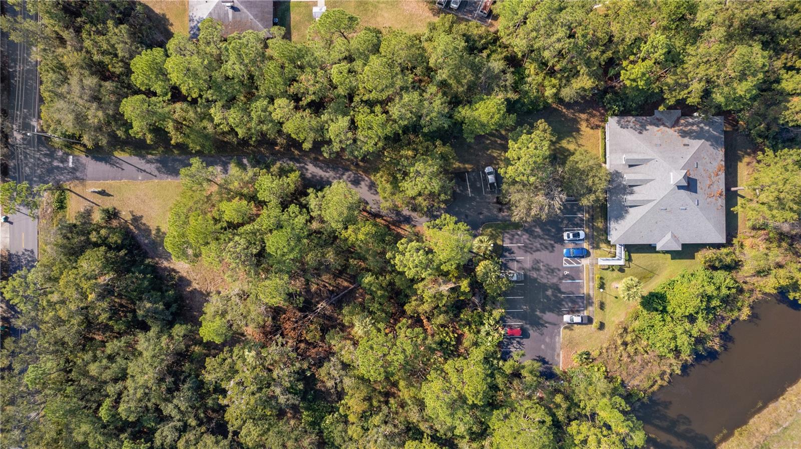1303 LIMIT AVE, MOUNT DORA, FL, 32757