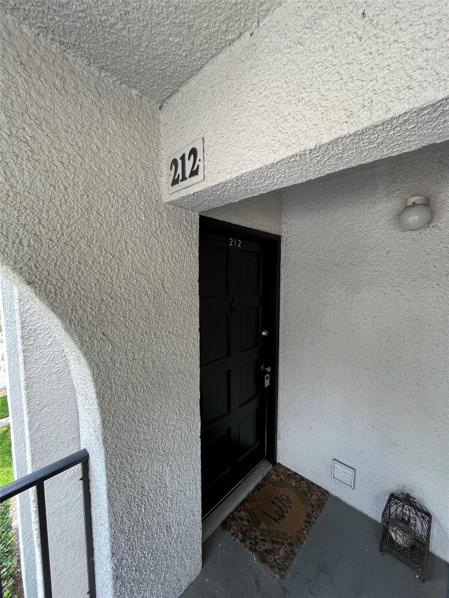 705 RUSSELL LN #212, BRANDON, FL, 33510