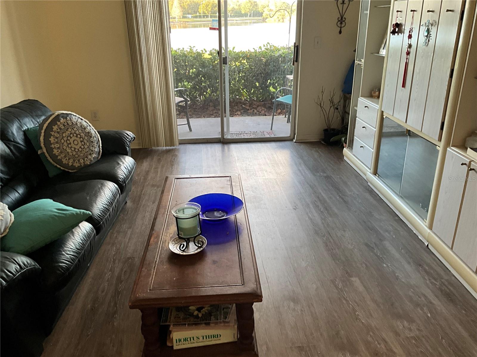 4209 WOODSTORKS WALK WAY #1111, LUTZ, FL, 33558