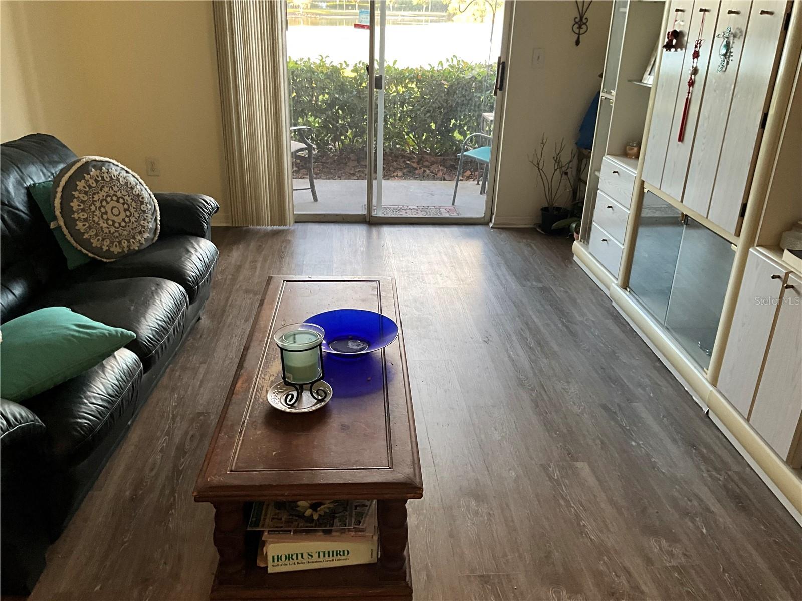 4209 WOODSTORKS WALK WAY #1111, LUTZ, FL, 33558