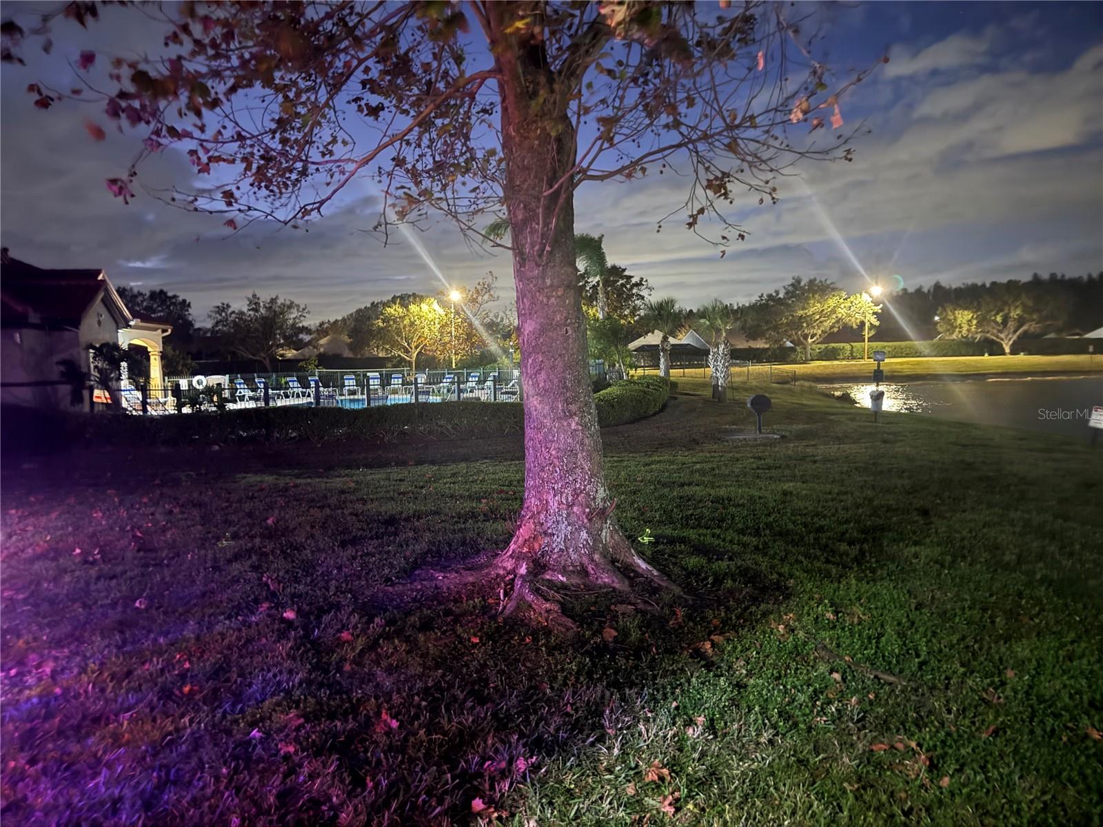 4209 WOODSTORKS WALK WAY #1111, LUTZ, FL, 33558