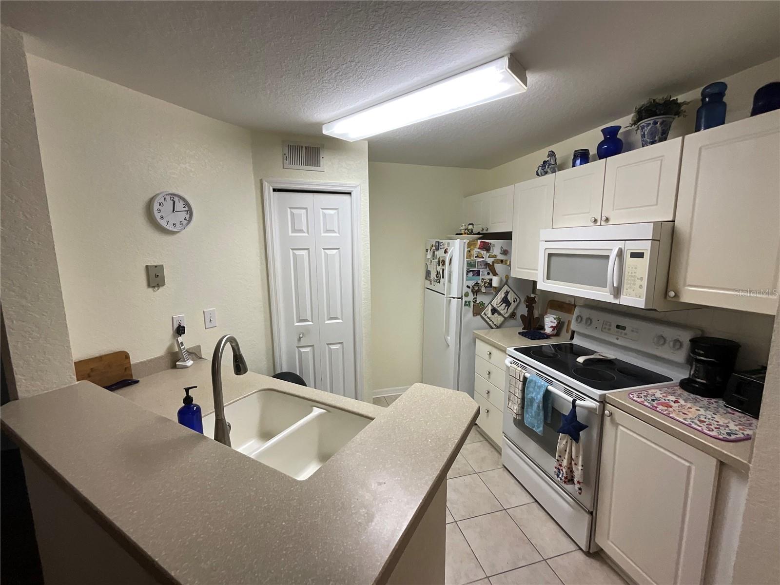4209 WOODSTORKS WALK WAY #1111, LUTZ, FL, 33558
