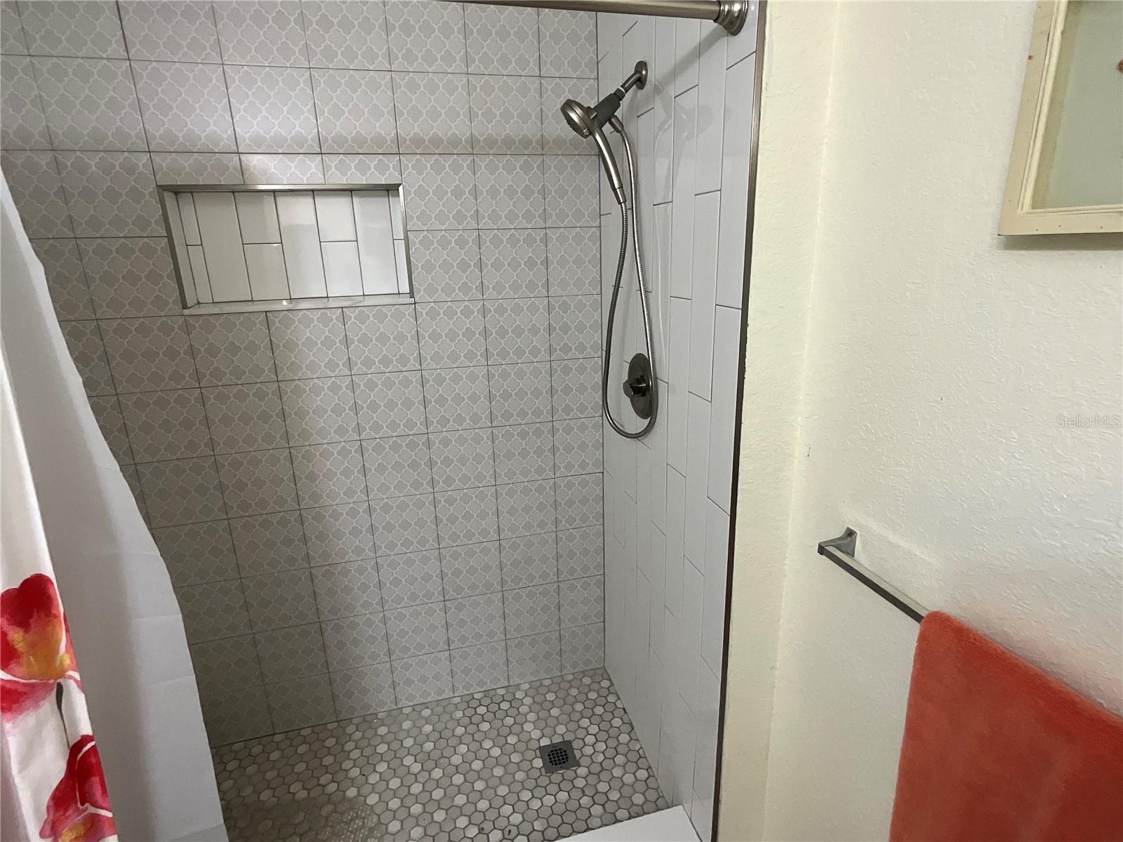 4209 WOODSTORKS WALK WAY #1111, LUTZ, FL, 33558