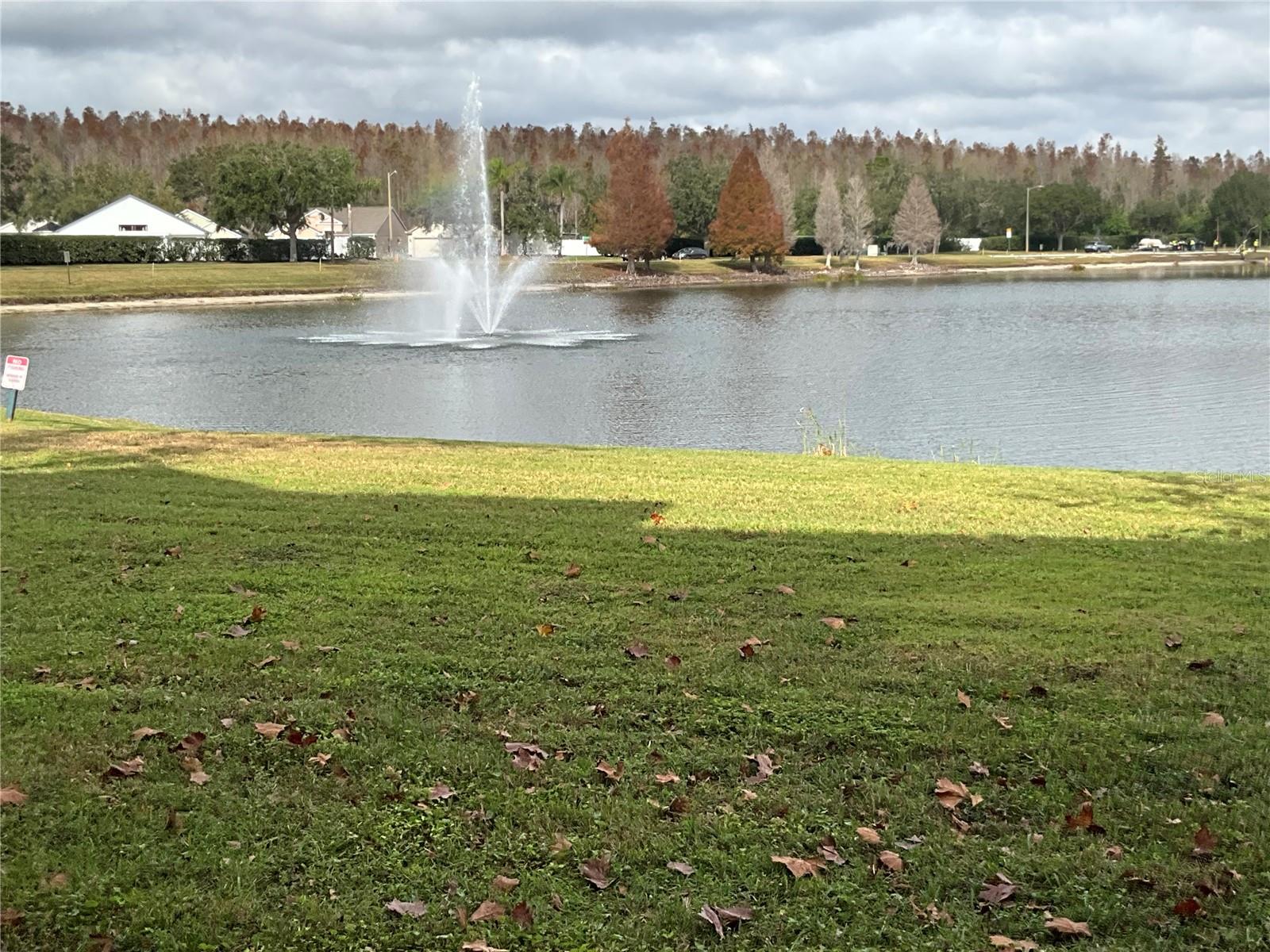 4209 WOODSTORKS WALK WAY #1111, LUTZ, FL, 33558