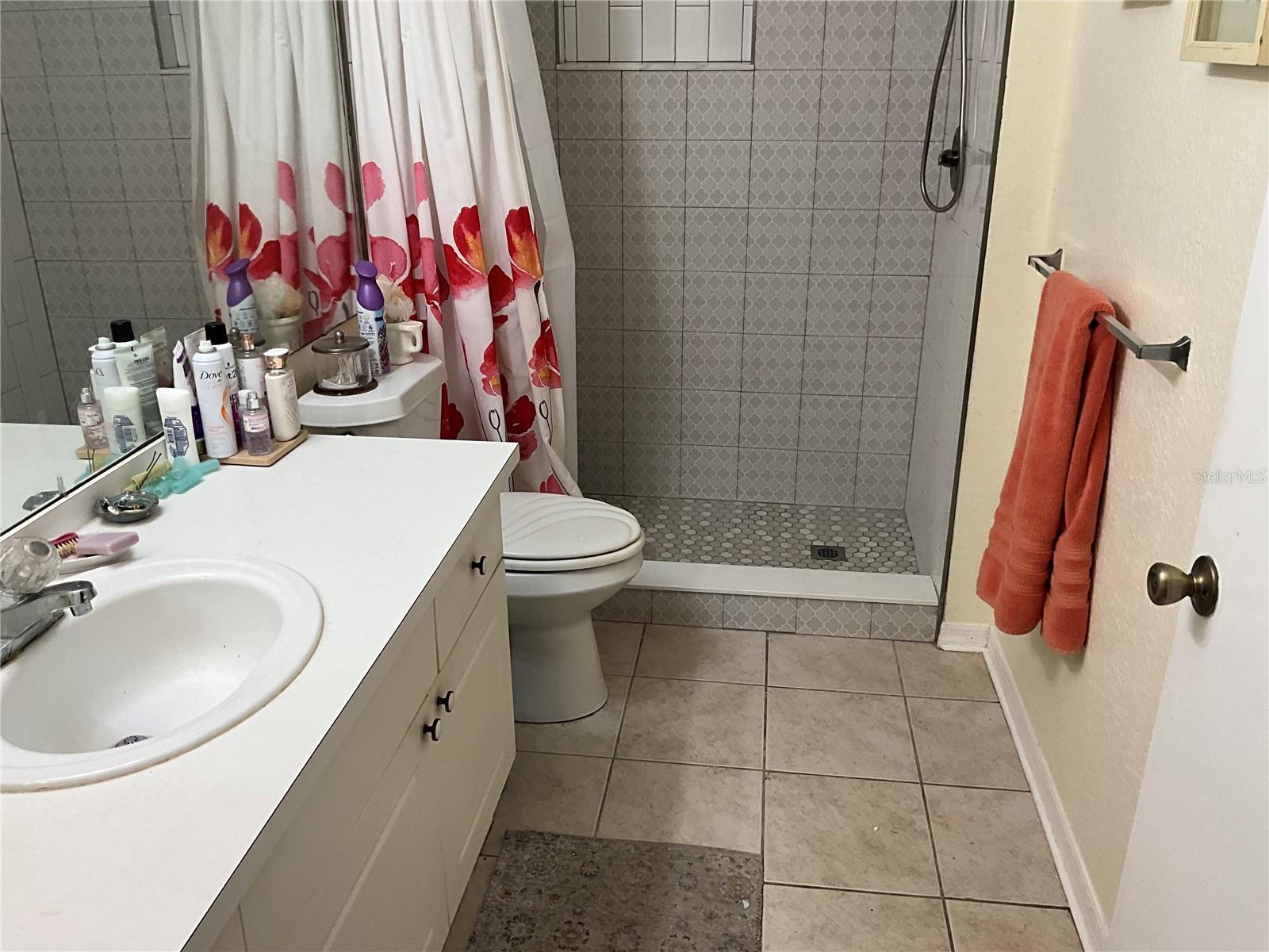 4209 WOODSTORKS WALK WAY #1111, LUTZ, FL, 33558