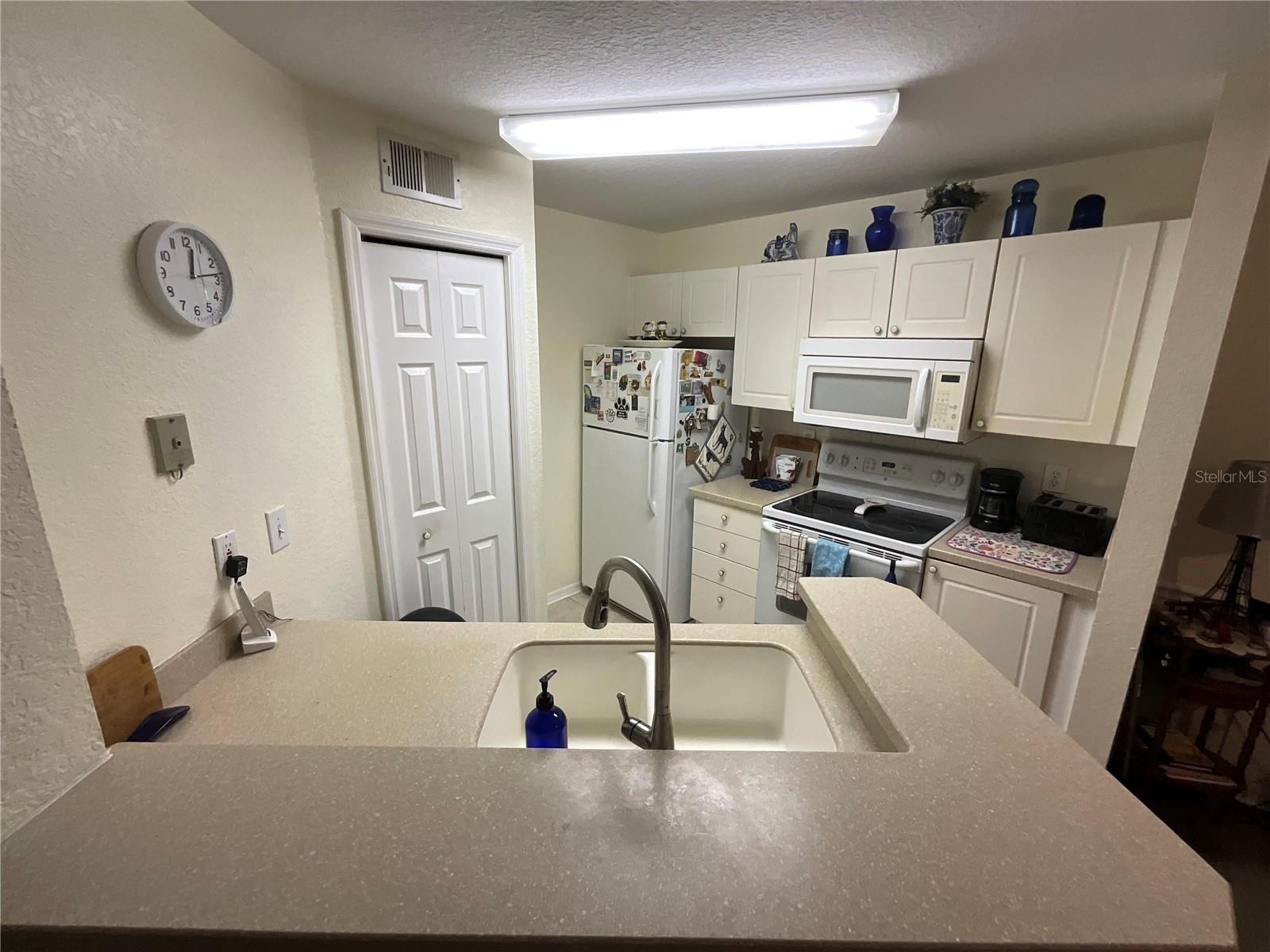 4209 WOODSTORKS WALK WAY #1111, LUTZ, FL, 33558