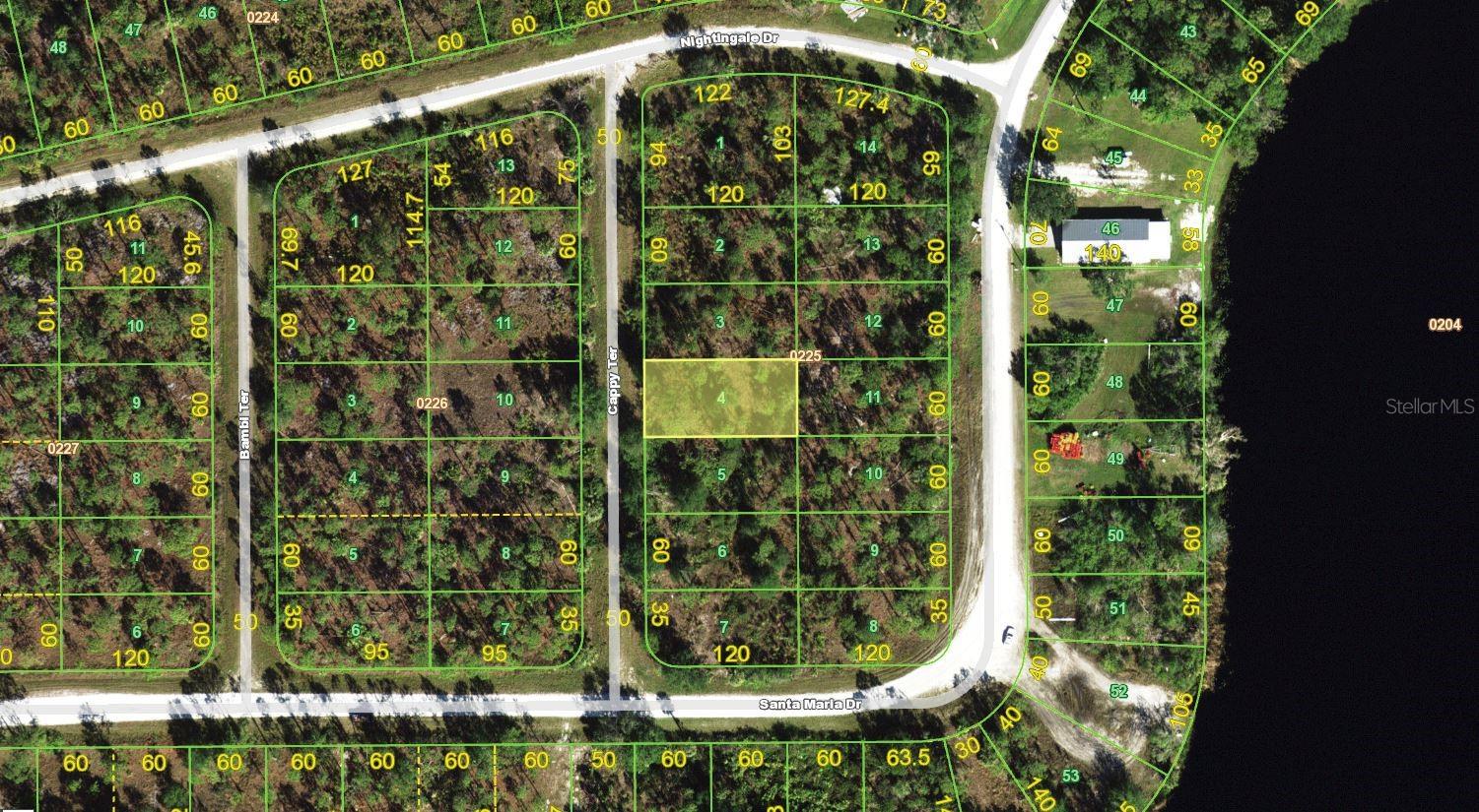 13346 CAPPY TER, PUNTA GORDA, FL, 33955