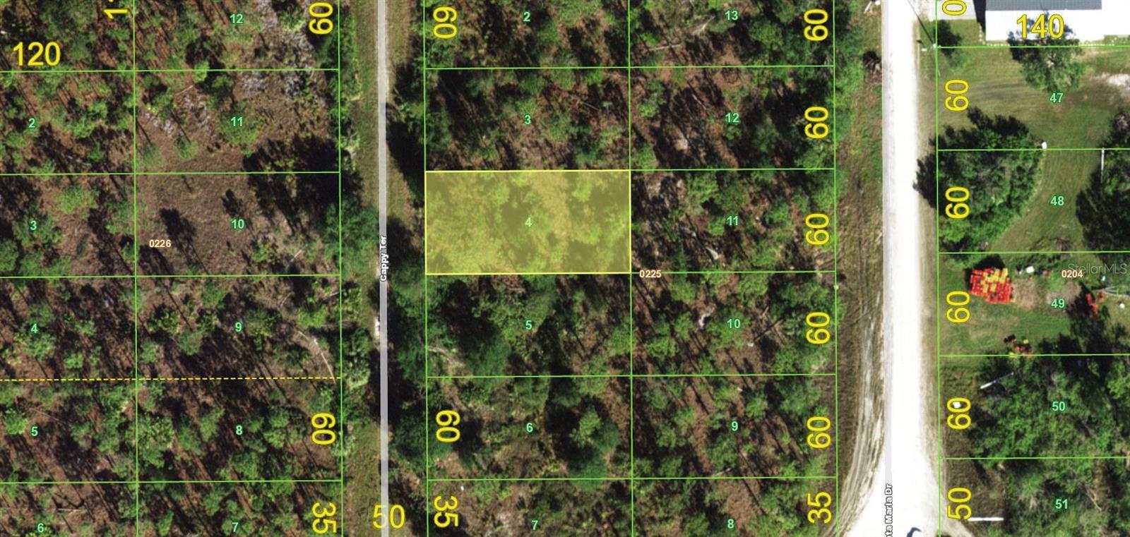 13346 CAPPY TER, PUNTA GORDA, FL, 33955