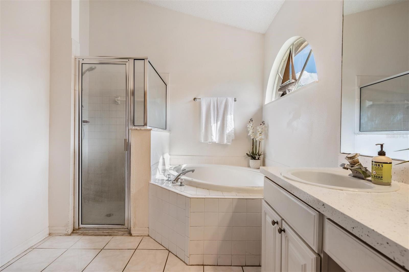 10037 OASIS PALM DR, TAMPA, FL, 33615
