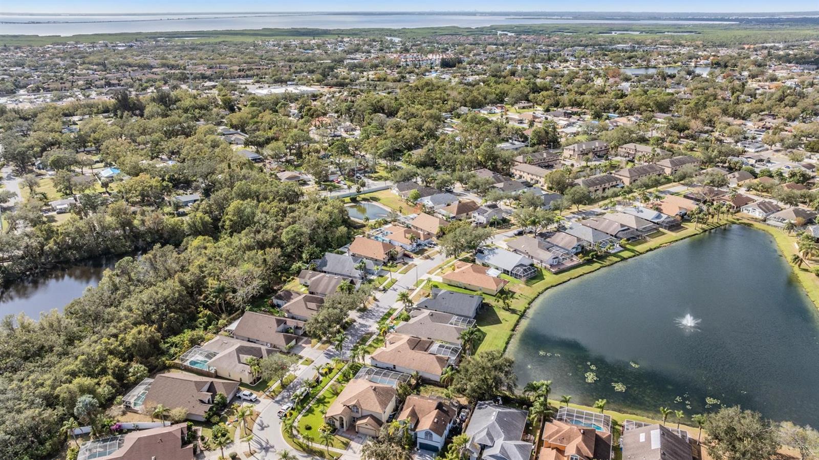 10037 OASIS PALM DR, TAMPA, FL, 33615