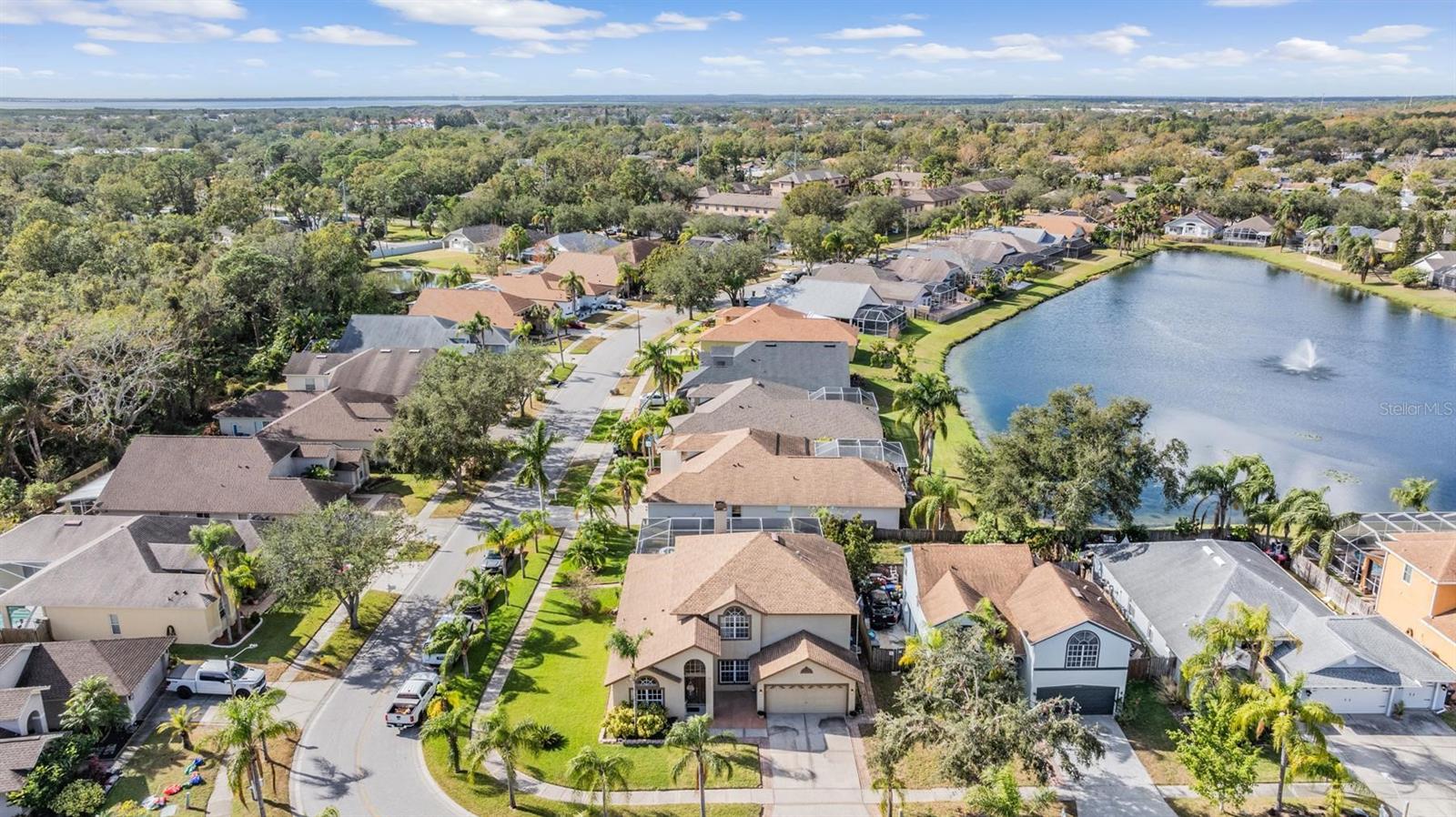 10037 OASIS PALM DR, TAMPA, FL, 33615
